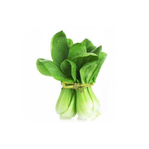  500余种新品果蔬亮相中国果蔬展