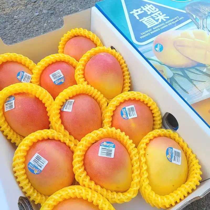 <strong>澳洲进口芒果整箱</strong>